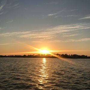 Meet your Posher, Anna reed